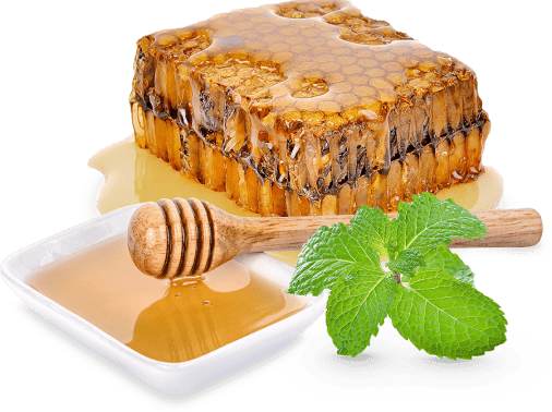 تماس با مدیسه موم عسل طبیعی مدیسه